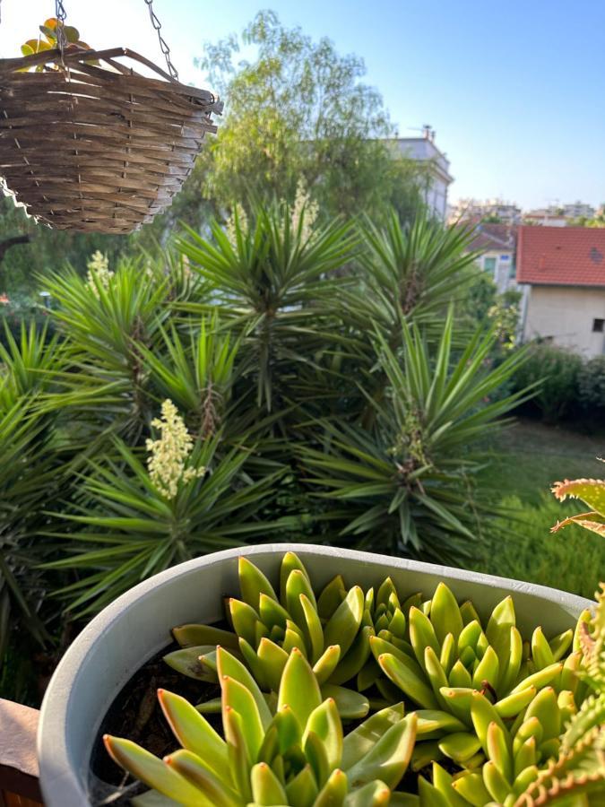 Location De Chambre Privee Dans Residence Prive, Jardins Et Parking Gratuit 1 Min To Tramway Et 9 Min De Centre-Ville, Accessibilite A Plusieurs Transports Nice Ngoại thất bức ảnh